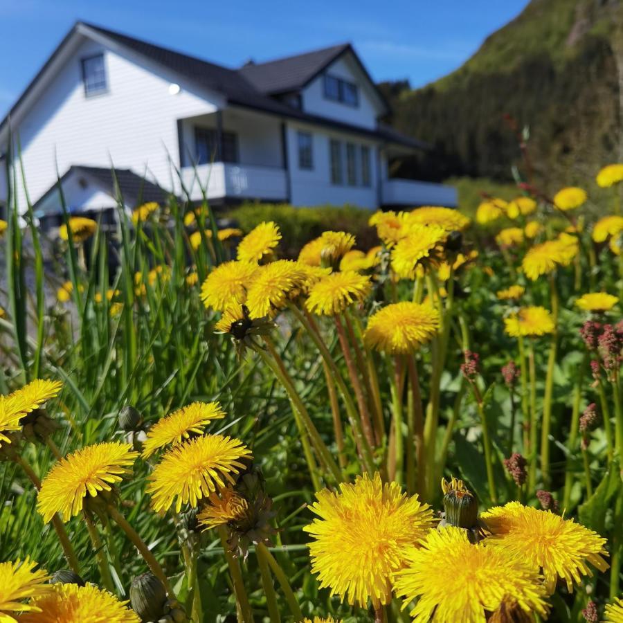 Banpim hillside Lofoten Gravdal  Exterior foto