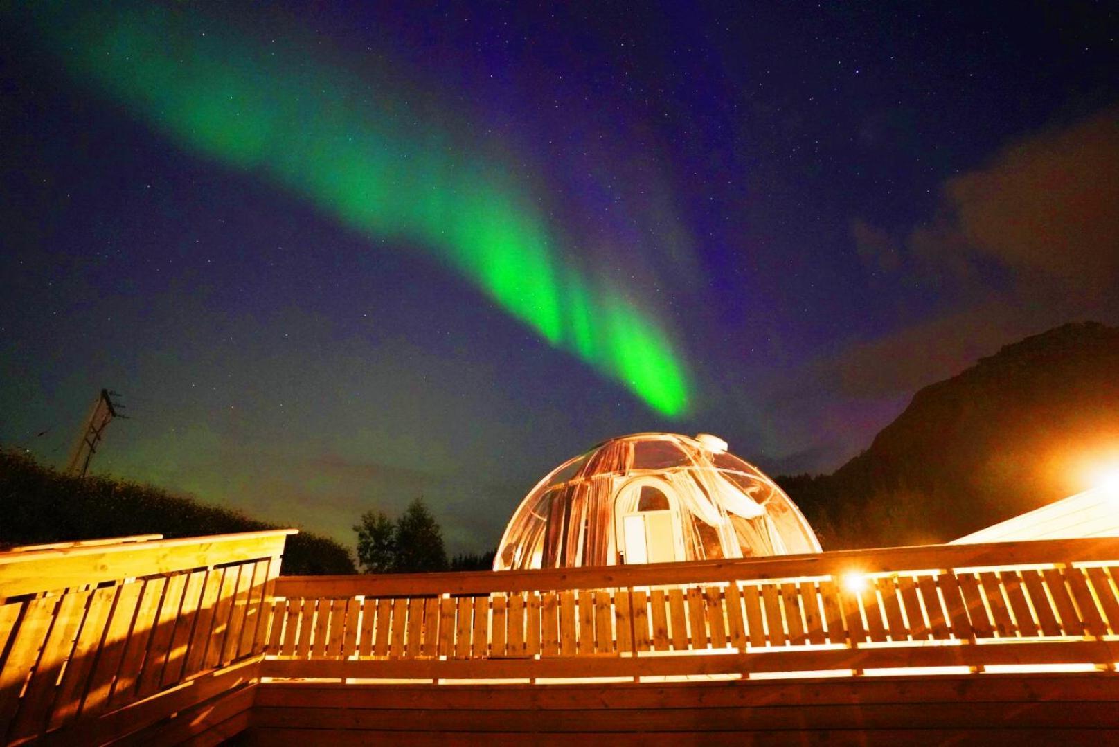 Banpim hillside Lofoten Gravdal  Exterior foto