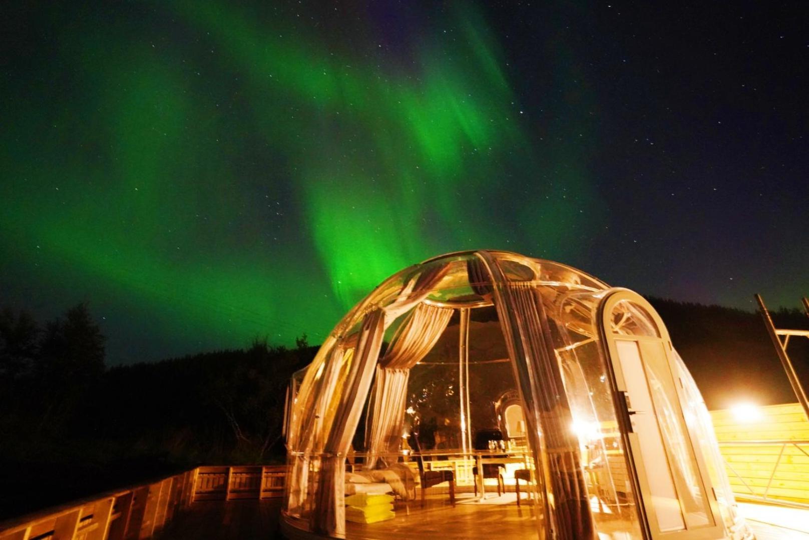 Banpim hillside Lofoten Gravdal  Exterior foto